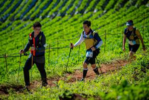 BIB: 
                            <button type="button" onclick="openModal(19162102)" class="btn btn-primary btn-sm float-right btn-popup" data-toggle="modal" data-target=".modal-high-quality">
                        <i class="fas fa-shopping-cart"></i> Add to Cart
                    </button>
                                            <button type="button" onclick="isThisMe(19162102, true)" class="btn btn-success btn-sm float-right btn-popup btn-isme hidden" data-toggle="tooltip" data-placement="bottom" title="นี่คือรูปของคุณใช่ไหม คลิกที่นี่เพื่อเอาเข้าอัลบั้ม">
                        <i class="fas fa-plus"></i> Add to album
                    </button>
                    <button type="button" onclick="isThisMe(19162102, false)" class="btn btn-warning btn-sm float-right btn-popup btn-isnotme hidden">
                        <i class="fas fa-ban"></i> Remove from album
                    </button>